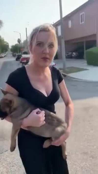 Deranged woman harasses man on the street and throws puppy at him