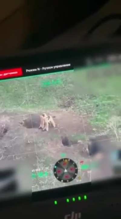 Ukranian drone operators spot Marmots fighting on the front line.