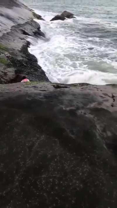 HMC while I look at the water.