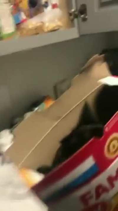 Blursed Midnight Snack