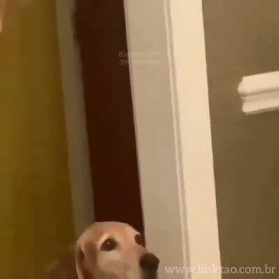 What did you say about my mom 🥺😟?