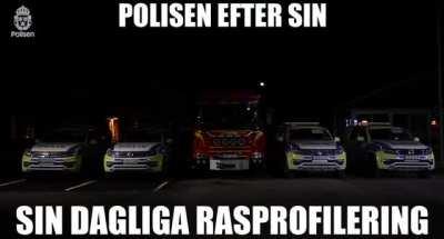 🚨🐖damsa gris🕺💃