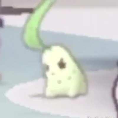 Chikorita metalero