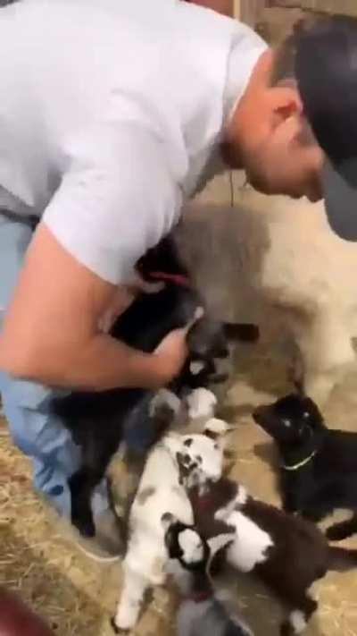 All line up for a hug