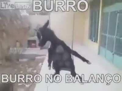 alguém pode me indica um programa de edição para pc