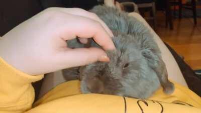 Getting all the love from Violet 🥰