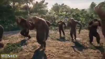 Monkey reigns supreme