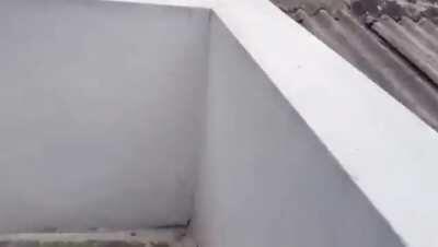 Tararan taran tan....LUIS LUIS!!!!