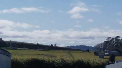 Pretty sure this bird's connection timed out