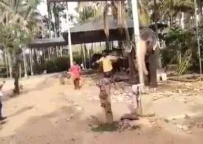 Only he can save Pakistan at this moment 