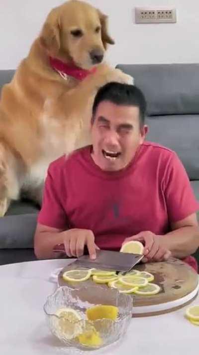 The dog wasn't impressed