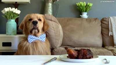 Must Resist Chicken!