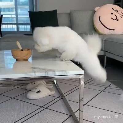 Yoga or Dance? Anyway its cute