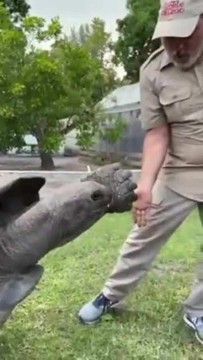 Leonardo gives a high five