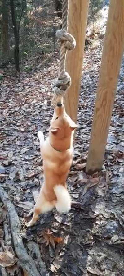 Trying out the rope swing 😆