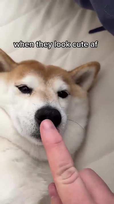 a look into 'cute agression'