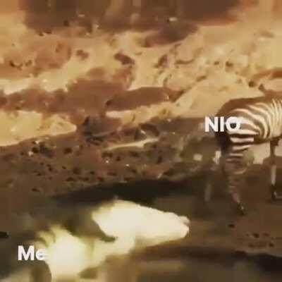 Me bidding lower than the ask and hoping to get filled on NIO