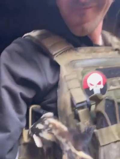 The bulletproof polecat returns…