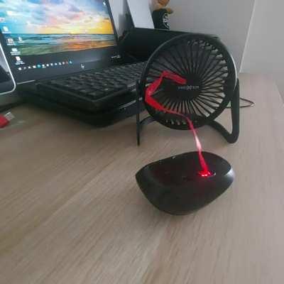 WFH? The answer my friend - is blowing in the wind.