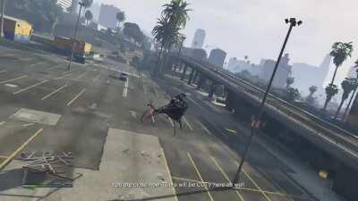 Wtf these Sparrows 😂