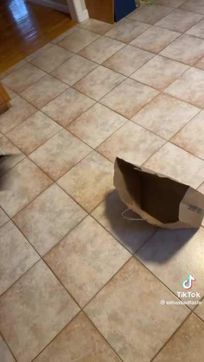 That looks like the perfect place to be!