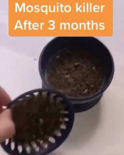 Forbidden coffee grounds