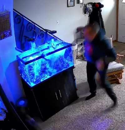 Luna does what she wants. 