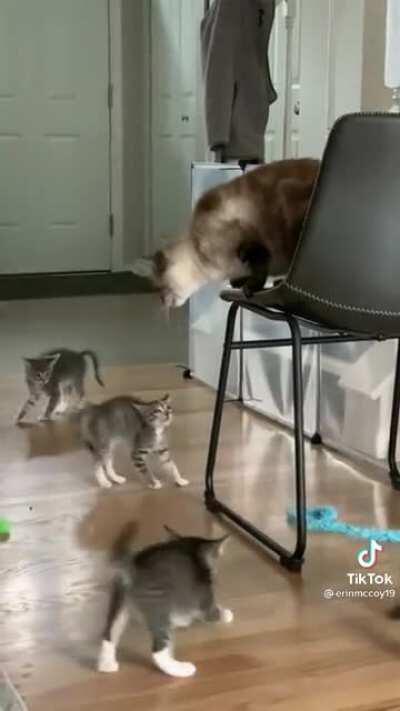 Asserting dominance over the youngsters