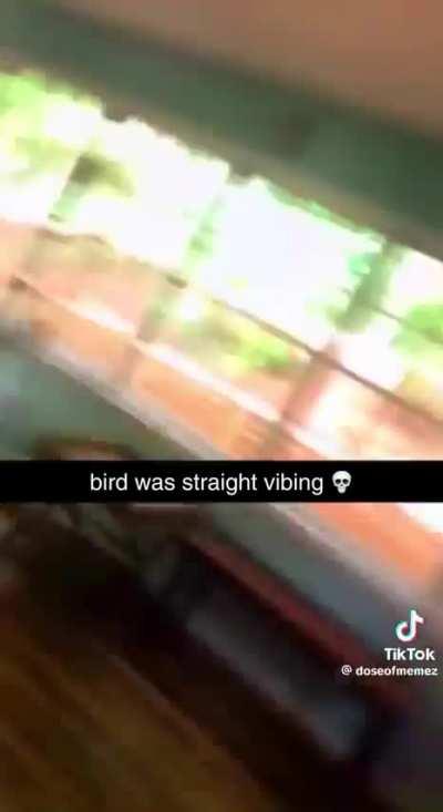 This song is perfectly made for Mikey