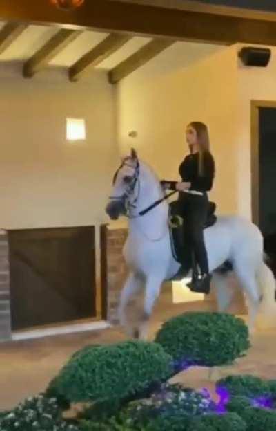 Turbo Tippy Taps -- Smooth Stepping Horse with Rider