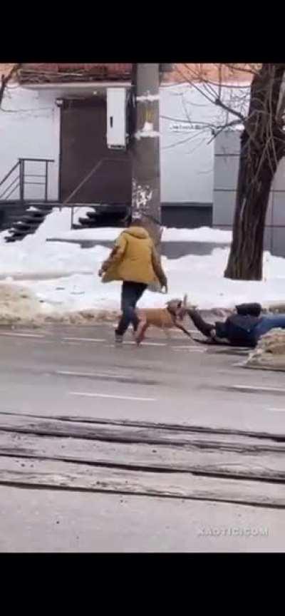 Вы не бойтесь. Собака добрая и не кусается