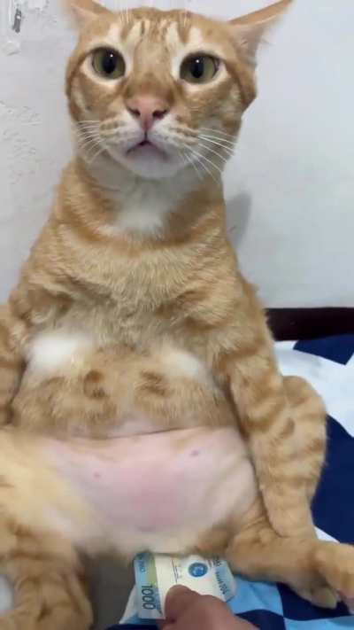 He will be cashed out from