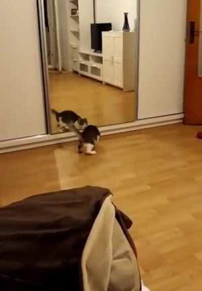 When you see yourself in the morning