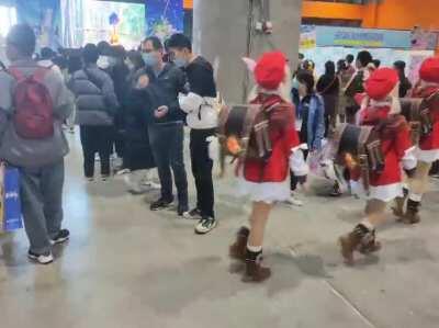 Ducklings following mother duck (Klees version)