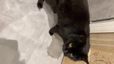 Tatlock having a quick little whistle