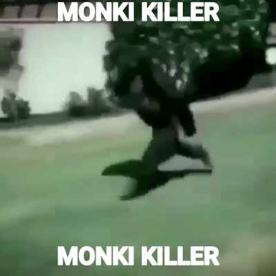 Ya que no salio en el mclmi 😔 monki killer 😎