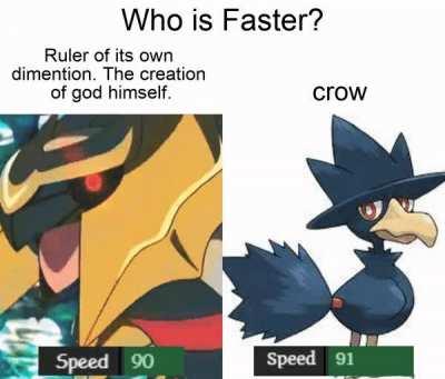 haha crow go zoom