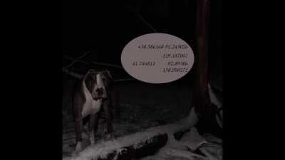 Had a dream that a friend showed me this meme. With the last coordinate pointing to a planned Superfund site that turned out to be a mass grave when we took a boat there.