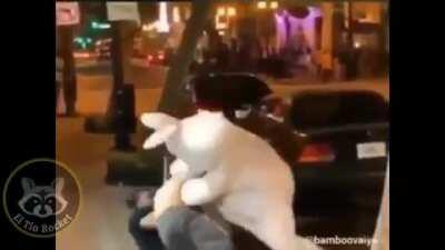 I’m pretty sure this belongs here but idk.