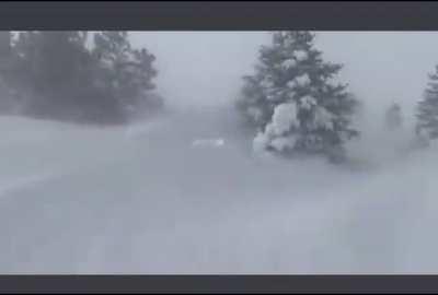 Ground Blizzard in Western North Dakota -50F Wind Chills (Sound On)