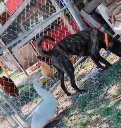 Went right for the bullseye