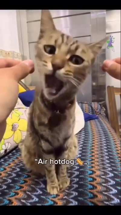 Irish Potato Famine (1845, colorized)