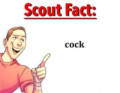Scout talks about cocks for a little to long...