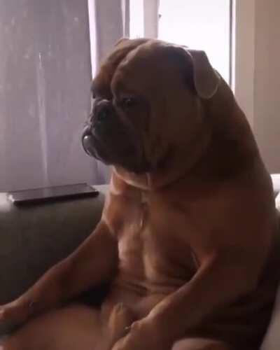 &ldquo;Seriously man, why are we still watching this?&rdquo;