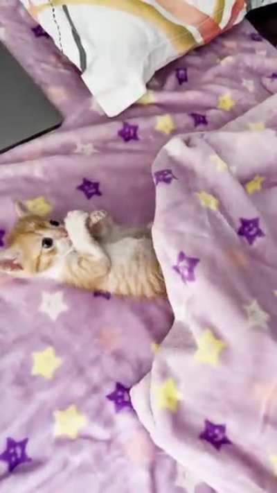 Look at him chilling