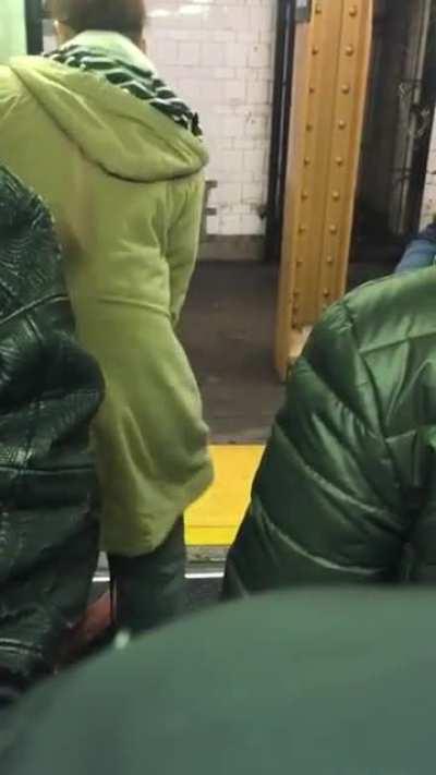 brief scuffle on a Bronx train