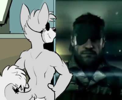 The Fox who sold the patch