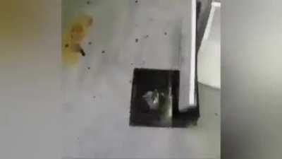 I don't wanna hear that...set it on fire.