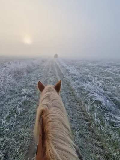 Perfect morning❤️