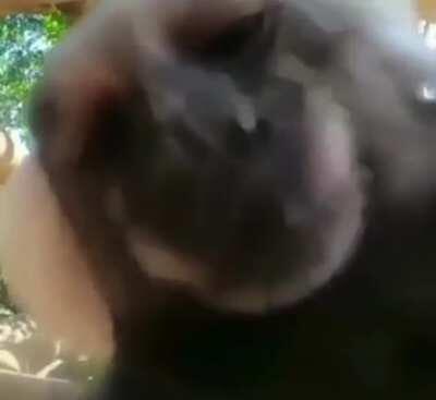 he steals your heart with respect and kindness